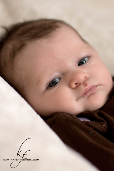 Illinois baby photographer lake county