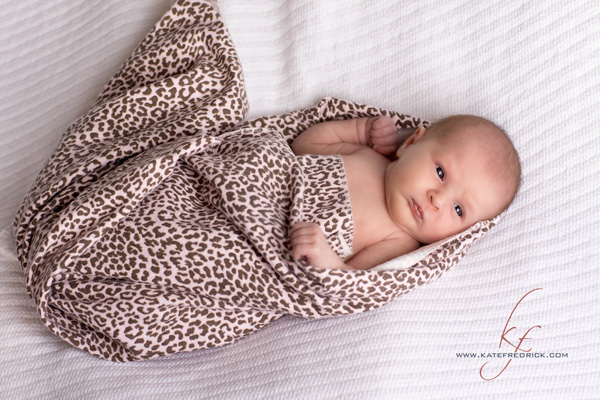 Baby Girl Racine Wisconsin Photographer