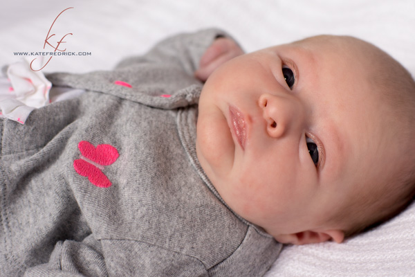 Racine Wisconsin Newborn Photography